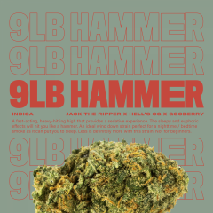 9LbHammer