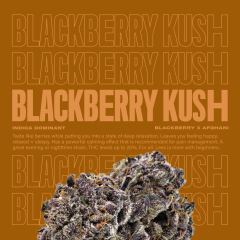 BlackberryKush