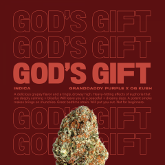 GodsGift
