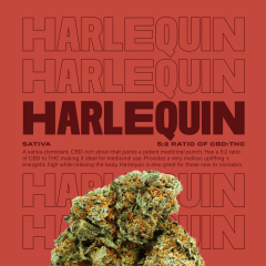 Harlequin
