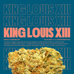 KingLouisXIII
