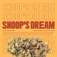SnoopsDream