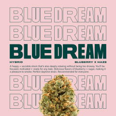BlueDream