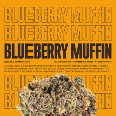 BlueberryMuffin