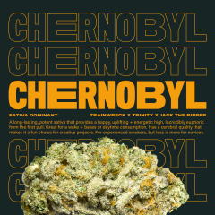 Chernobyl