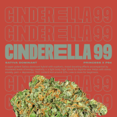 Cinderella99