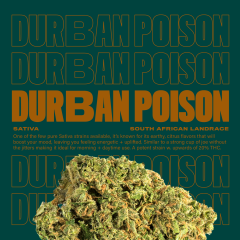 DurbanPoison
