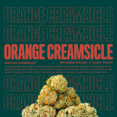 OrangeCreamsicle