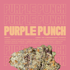 PurplePunch
