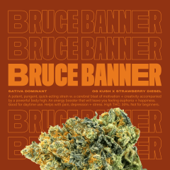 BruceBanner