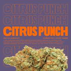 CitrusPunch