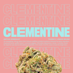 Clementine