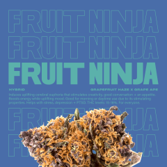 FruitNinja