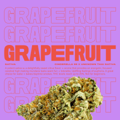 Grapefruit