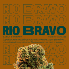 RioBravo