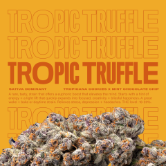 TropicTruffle