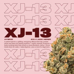 XJ-13