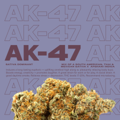 AK47
