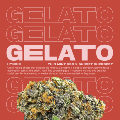 Gelato