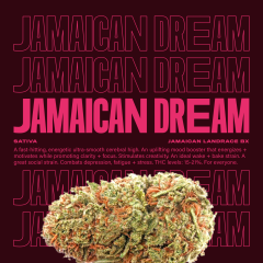 JamaicanDream