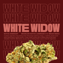 WhiteWidow