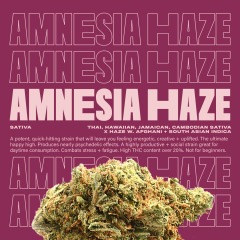 AmnesiaHaze