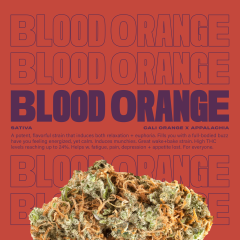 BloodOrange