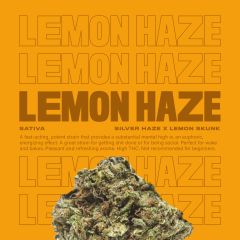 LemonHaze