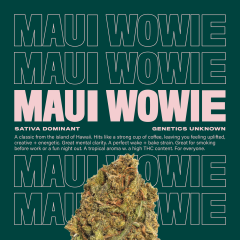 MauiWowie