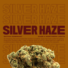 SilverHaze